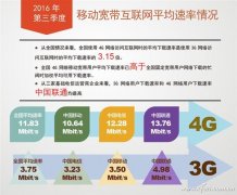 11月17日新闻茶泡Fan